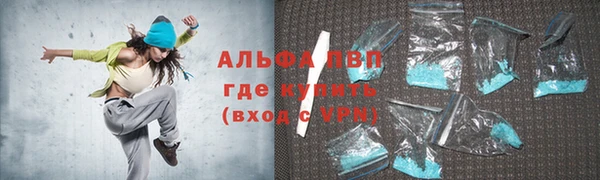 индика Инсар
