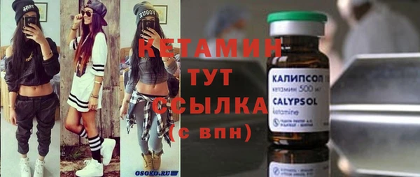 индика Инсар