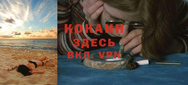 индика Инсар
