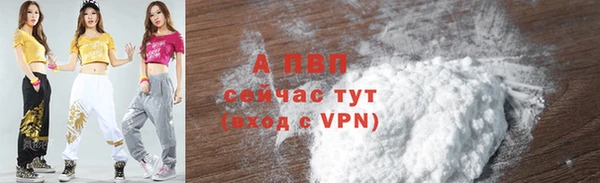 индика Инсар