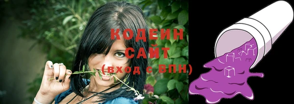 индика Инсар