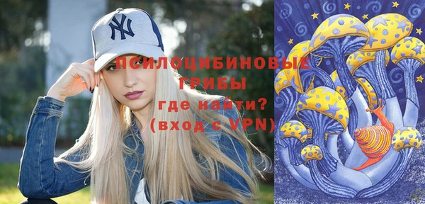 индика Инсар