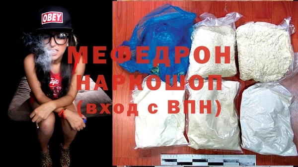 индика Инсар