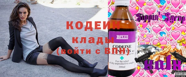круглые Иннополис