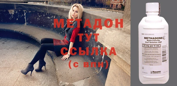 индика Инсар
