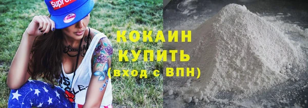 индика Инсар