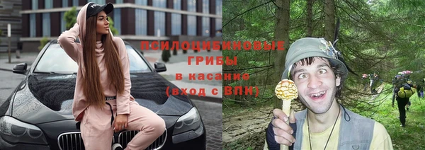 круглые Иннополис