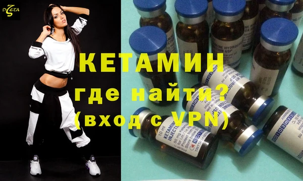 индика Инсар