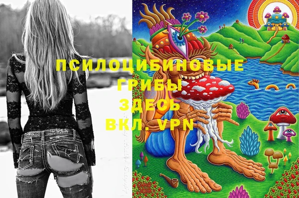 круглые Иннополис