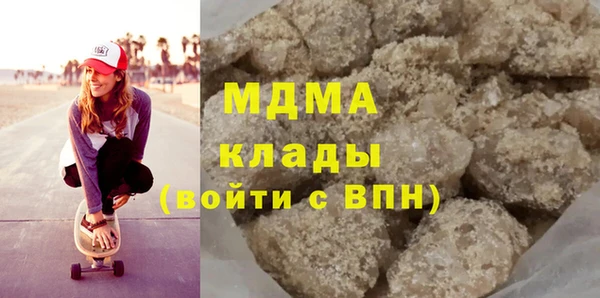 индика Инсар