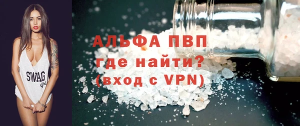 индика Инсар