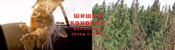 круглые Иннополис